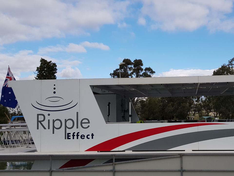 Vehicle Wrap
